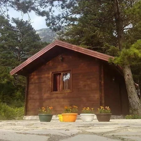 Iliria Tiny House Llogora Apartment *