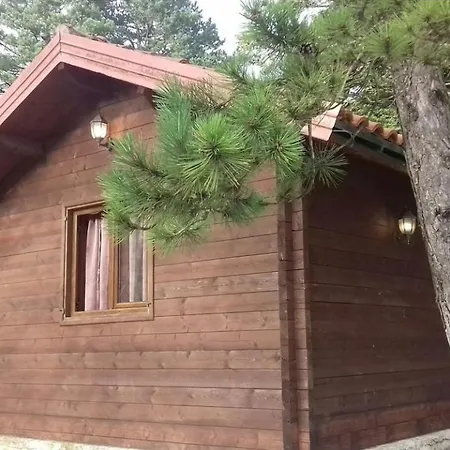 Iliria Tiny House Llogora Apartment *