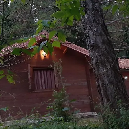 Iliria Tiny House Llogora Apartment Orikum